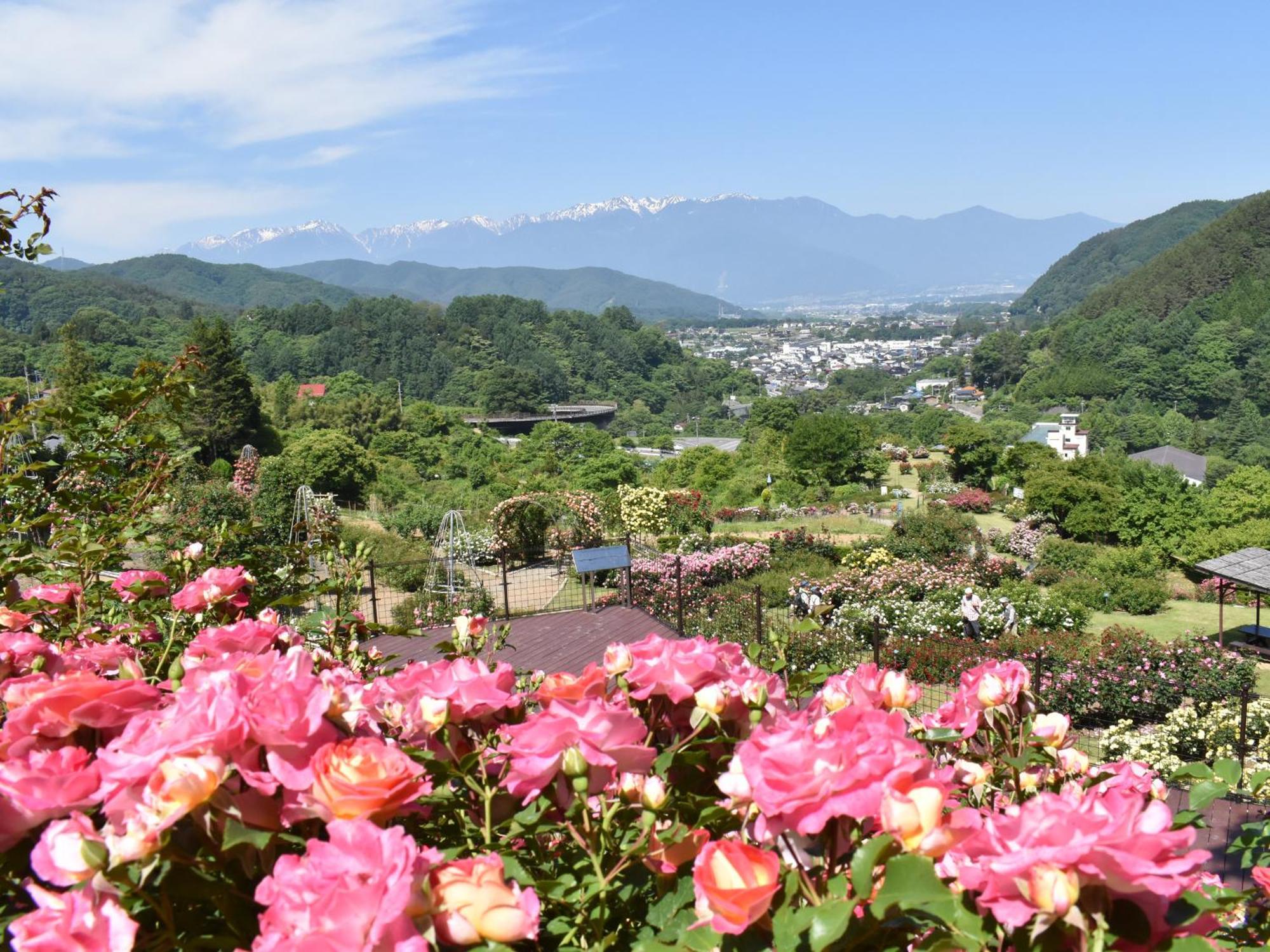 吉野亭酒店 传统日式旅馆 3*