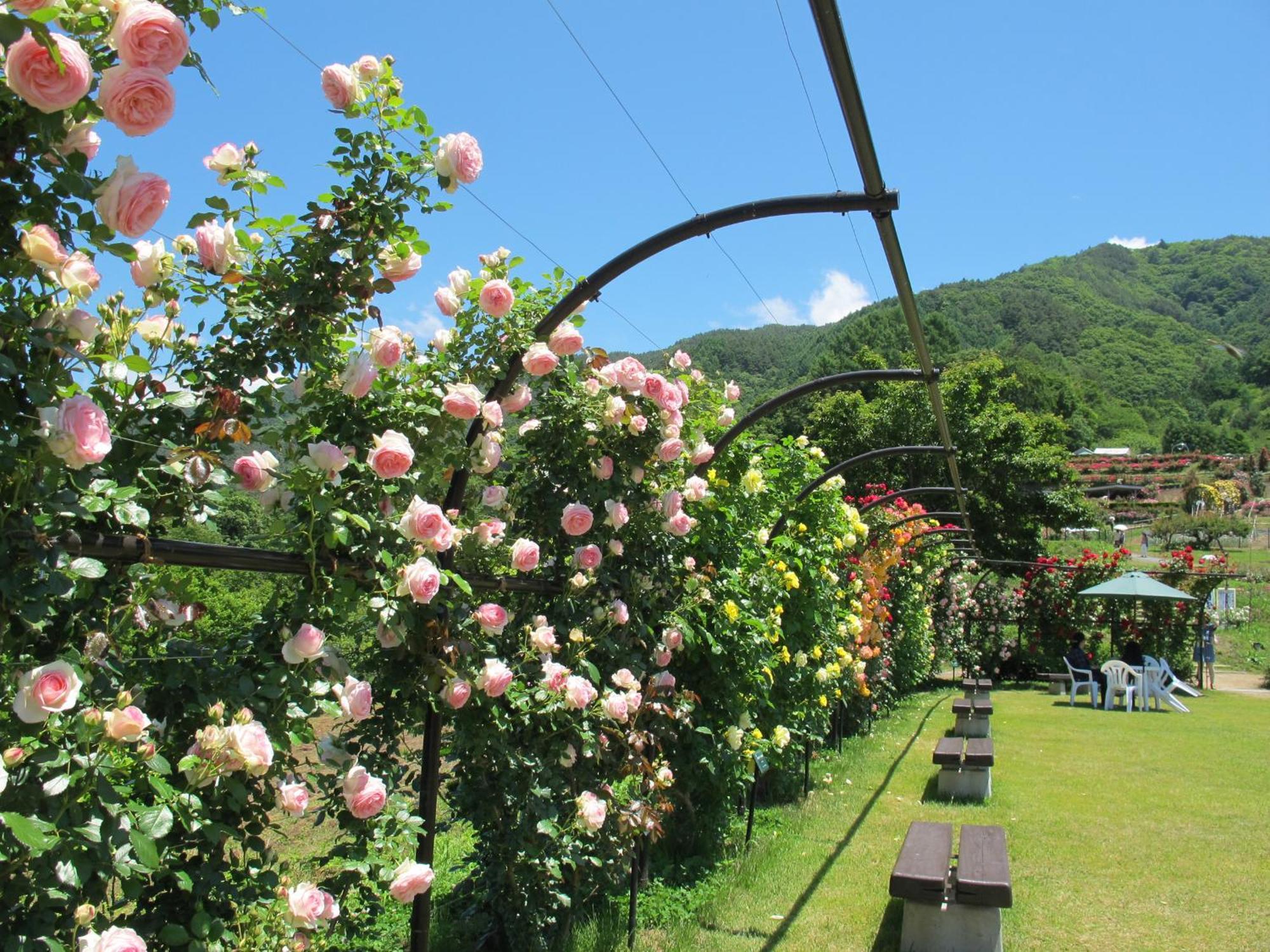 传统日式旅馆 吉野亭酒店